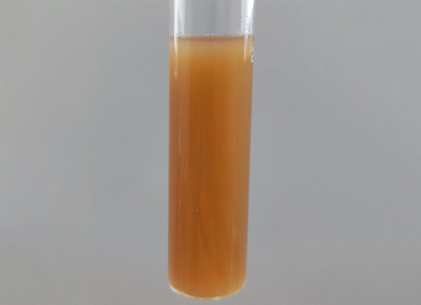 耐高鹽菌劑.jpg 耐高鹽菌劑.jpg